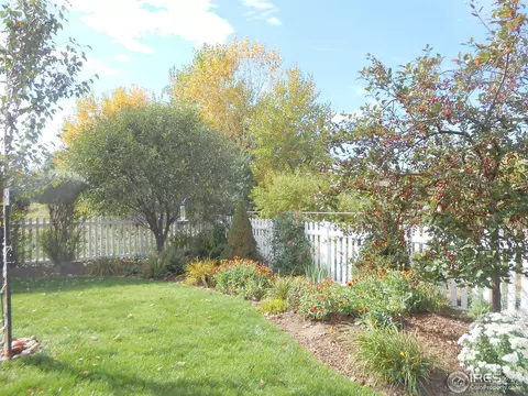 3401 San Mateo Ave, Evans, CO 80620 photo 17