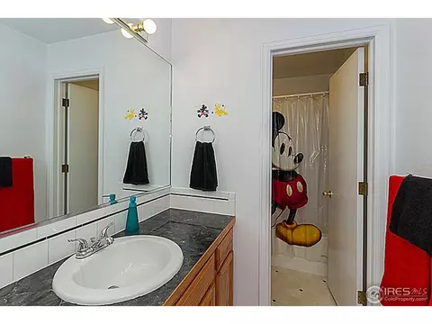 3717 Dove Ln, Evans, CO 80620 photo 16