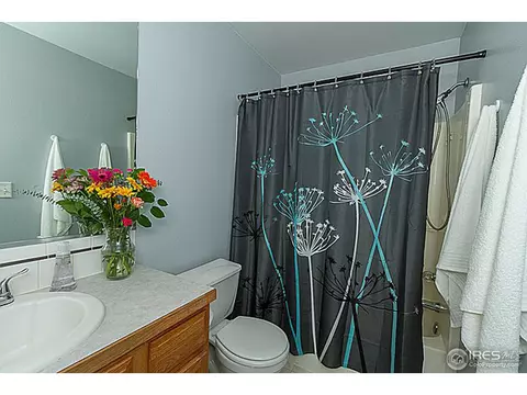 3717 Dove Ln, Evans, CO 80620 photo 20