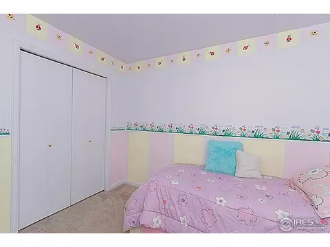 3717 Dove Ln, Evans, CO 80620 photo 18