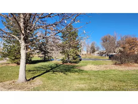 3645 E 128th Pl, Thornton, CO 80241 photo 34
