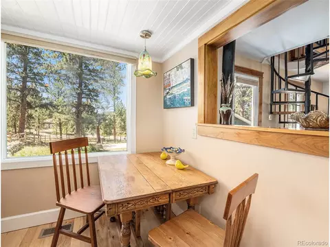 11753 S Juniper Rd, Pine, CO 80470 photo 13