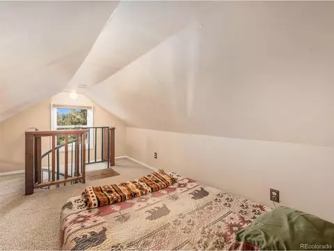 11753 S Juniper Rd, Pine, CO 80470 photo 17