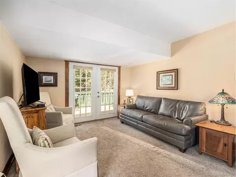 11753 S Juniper Rd, Pine, CO 80470 photo 6