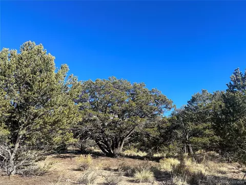 1452 Pinecrest Ol, Crestone, CO 81131 photo 4