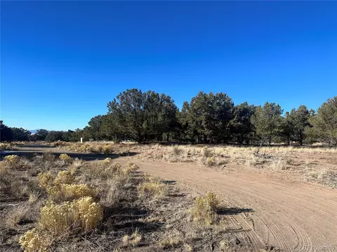 1452 Pinecrest Ol, Crestone, CO 81131 photo 3