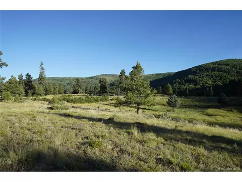 River Run Dr, Antonito, CO 81120 photo 8
