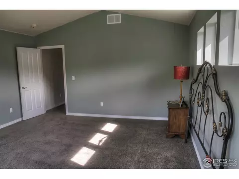 207 Mcconnell Ct, Lyons, CO 80540 photo 9