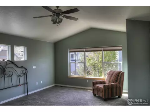 207 Mcconnell Ct, Lyons, CO 80540 photo 8