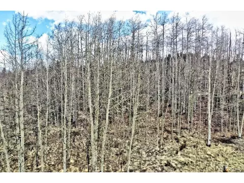 142 Puma Ct, Como, CO 80432 photo 16