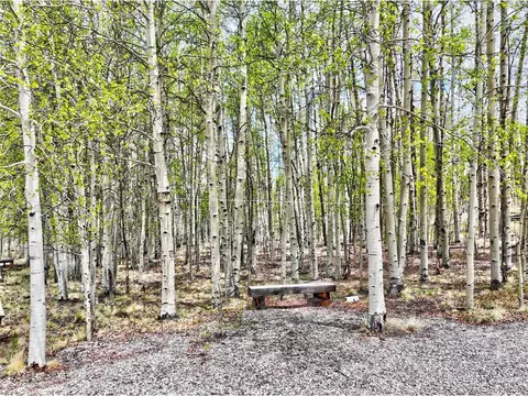 142 Puma Ct, Como, CO 80432 photo 3