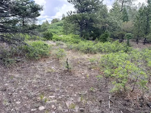 54 Knotty Pine Rd, Howard, CO 81233 photo 25