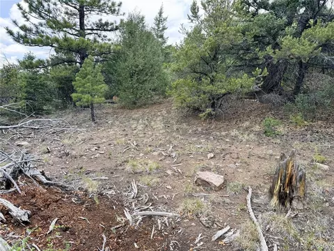 54 Knotty Pine Rd, Howard, CO 81233 photo 26