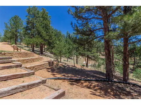114 Blue Mesa Cir, Divide, CO 80814 photo 31