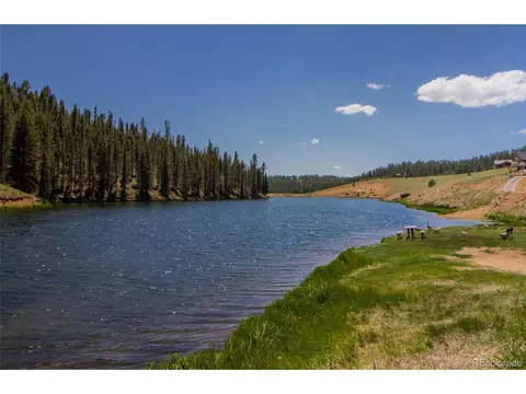 114 Blue Mesa Cir, Divide, CO 80814 photo 37