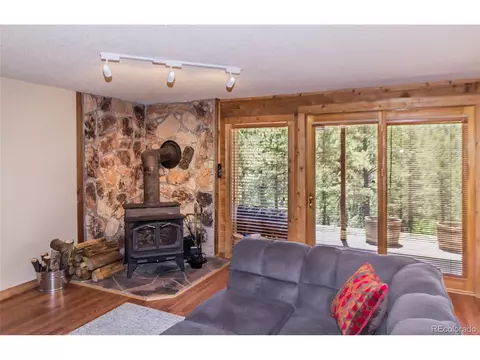 114 Blue Mesa Cir, Divide, CO 80814 photo 24
