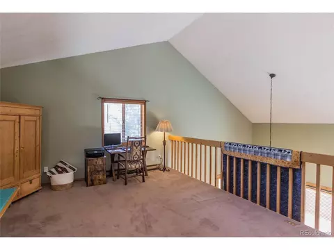 114 Blue Mesa Cir, Divide, CO 80814 photo 18