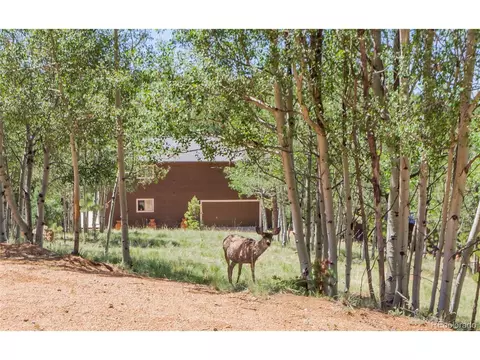 114 Blue Mesa Cir, Divide, CO 80814 photo 36