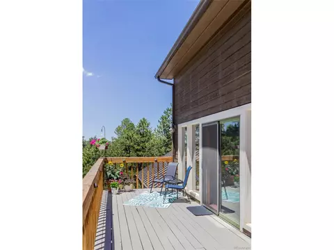 114 Blue Mesa Cir, Divide, CO 80814 photo 28
