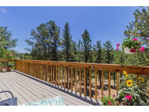 114 Blue Mesa Cir, Divide, CO 80814 photo 29