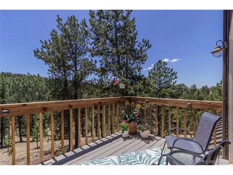 114 Blue Mesa Cir, Divide, CO 80814 photo 30