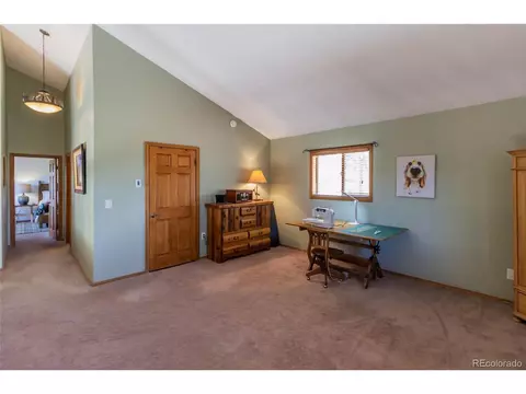 114 Blue Mesa Cir, Divide, CO 80814 photo 17