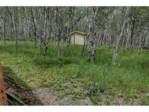 511 Mount Guyot Cir, Jefferson, CO 80456 photo 29