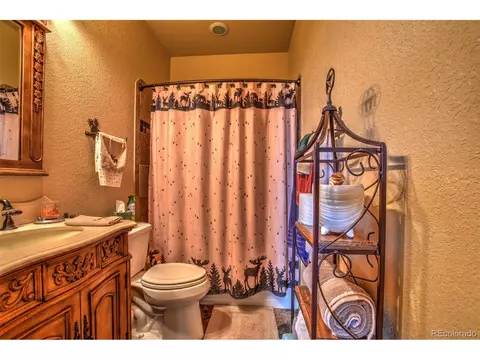511 Mount Guyot Cir, Jefferson, CO 80456 photo 23