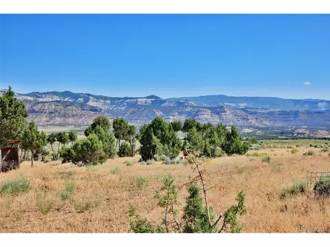 1438 53 12 Rd, Mesa, CO 81643 photo 10