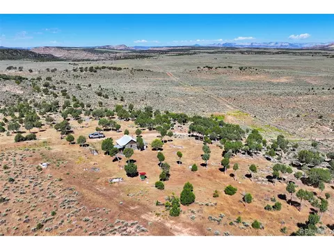 1438 53 12 Rd, Mesa, CO 81643 photo 21