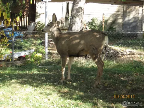 2620 Pine St, Boulder, CO 80302 photo 7