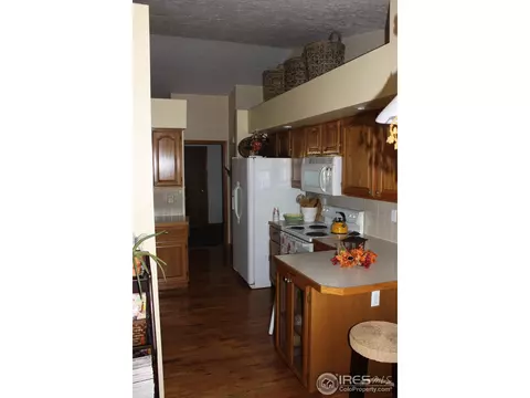770 3rd St, Windsor, CO 80550 photo 3