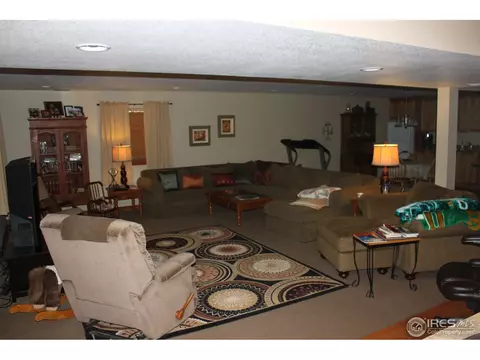 770 3rd St, Windsor, CO 80550 photo 5