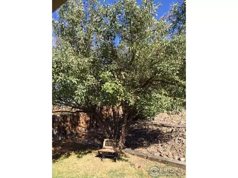 7552 Pierce St, Arvada, CO 80003 photo 17
