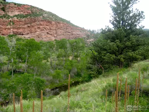 1011 Vision Way, Lyons, CO 80540 photo 5