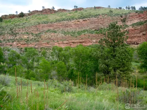 1011 Vision Way, Lyons, CO 80540 photo 4