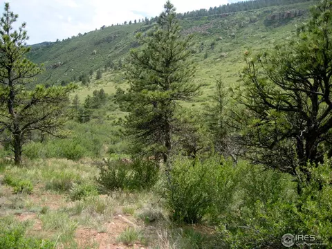 1011 Vision Way, Lyons, CO 80540 photo 2