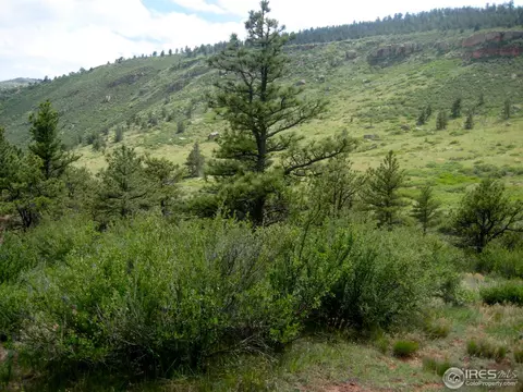 1011 Vision Way, Lyons, CO 80540 photo 1