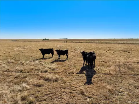 Undisclosed, Rush, CO 80833 photo 22