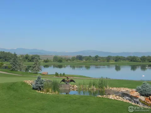 1804 Seashell Ct, Windsor, CO 80550 photo 6