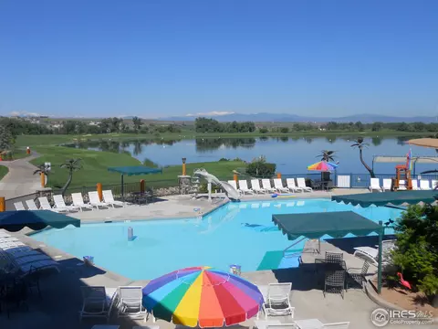 1804 Seashell Ct, Windsor, CO 80550 photo 7