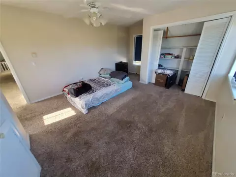 Undisclosed, Fruita, CO 81521 photo 10