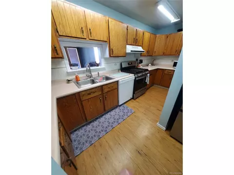 Undisclosed, Fruita, CO 81521 photo 25