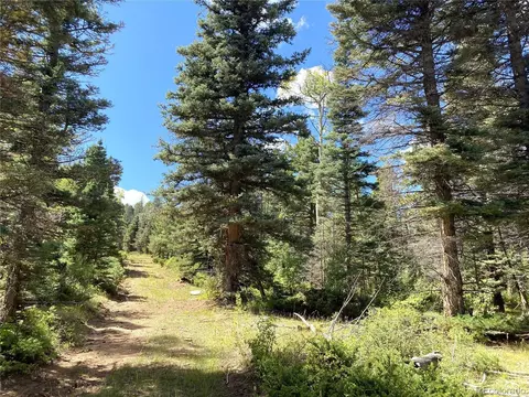 27 Copper Mountain Rd, Cotopaxi, CO 81223