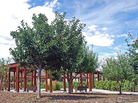 2092 Vineyard Dr, Windsor, CO 80550 photo 6