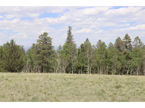 1100 Bolster Dr, Hartsel, CO 80449