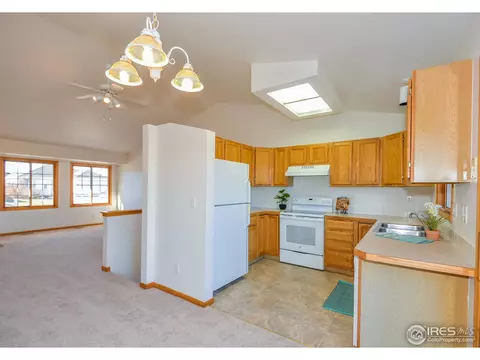 1109 Valley Dr, Windsor, CO 80550 photo 10