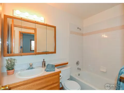 1109 Valley Dr, Windsor, CO 80550 photo 18