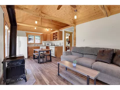 28310 S River Rd, Pine, CO 80470 photo 14
