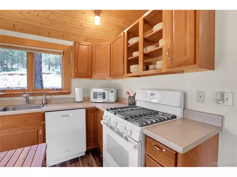 28310 S River Rd, Pine, CO 80470 photo 10